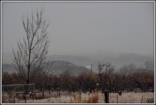 DSC_0078.jpg
