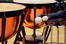 Concert Drums.jpg