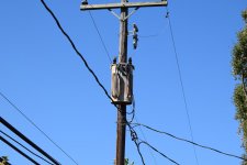 DSC_1099.jpg