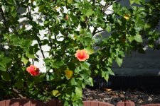 DSC_1101.jpg