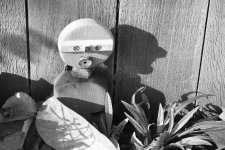 In the morning light.jpg