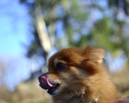 _DSC4045.jpg