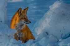 IVA_9179-HDR.jpg