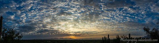 DSC_2605-Pano.jpg