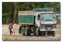 truck-2.jpg