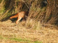 DSCN4081.jpg