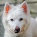 DSC_0312.jpg