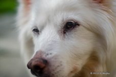 DSC_0313.jpg