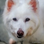 DSC_0311.jpg