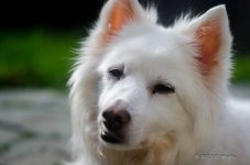 DSC_0314.jpg
