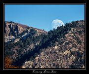 W_DSC_8758.jpg