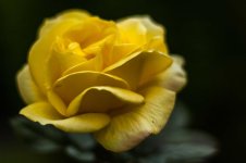20151114-DSC_7997.jpg