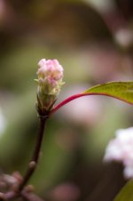 20151114-DSC_7993.jpg