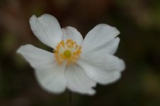 20151114-DSC_7994.jpg