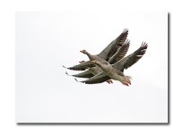 DSC_9153.jpg