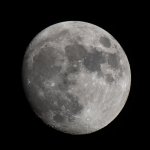 JFS_0398.jpg