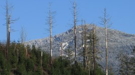 w_IMG_0043.jpg