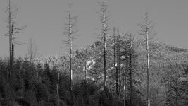 x_IMG_0043.jpg