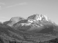 y_IMG_0017.jpg