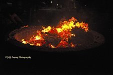 _DSC0957.jpg