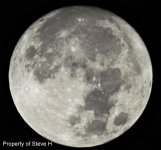 DSCN0424-1.jpg
