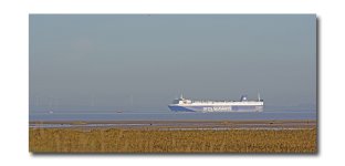DSC_1633.jpg