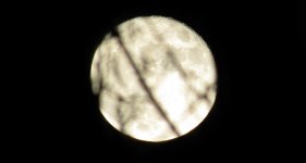 Y_IMG_0113.jpg