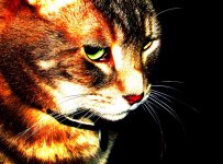 ee_IMG_0057.jpg