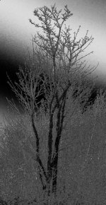c_IMG_0028.jpg