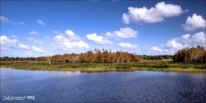 11-28-15 Green Cay    1.jpg