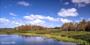 11-28-15 Green Cay    3.jpg