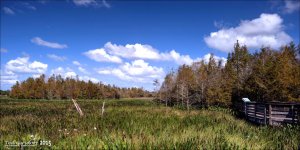 11-28-15 Green Cay    4.jpg