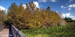 11-28-15 Green Cay    6.jpg