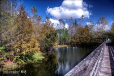 11-28-15 Green Cay    8.jpg