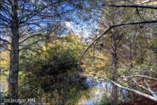 11-28-15 Green Cay    10.jpg