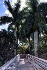 11-28-15 Green Cay    14.jpg