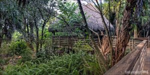 11-28-15 Green Cay    18.jpg
