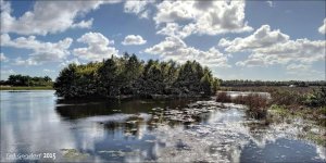 11-28-15 Green Cay    20.jpg