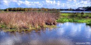 11-28-15 Green Cay    23.jpg