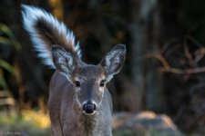 November 12, 2015untitled-4562-2.jpg