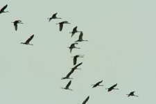 sandhills.jpg