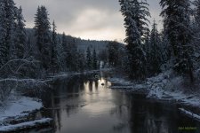 IVA_9687.jpg
