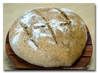 sourbreaddry-1.jpg