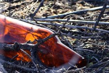 glass_15-11-30_DSC_2841cr.jpg