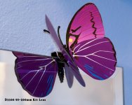 W_DSC_0006.jpg