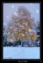 W_DSC_8863.jpg