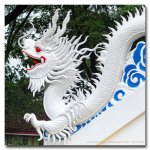 dragon-2.jpg