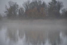 More-fog.jpg