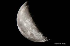D71_7531.jpg