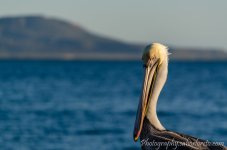 DSC_3149.jpg